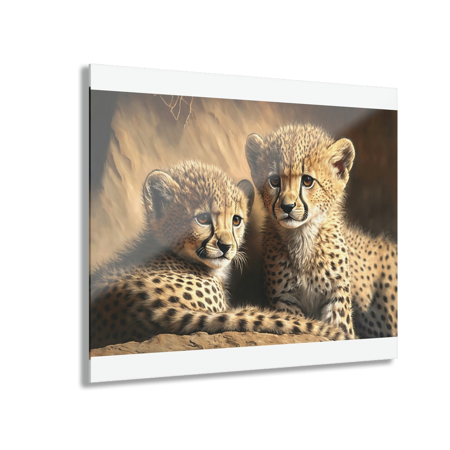 Cheetah Cubs Acrylic Prints (French Cleat Hanging)