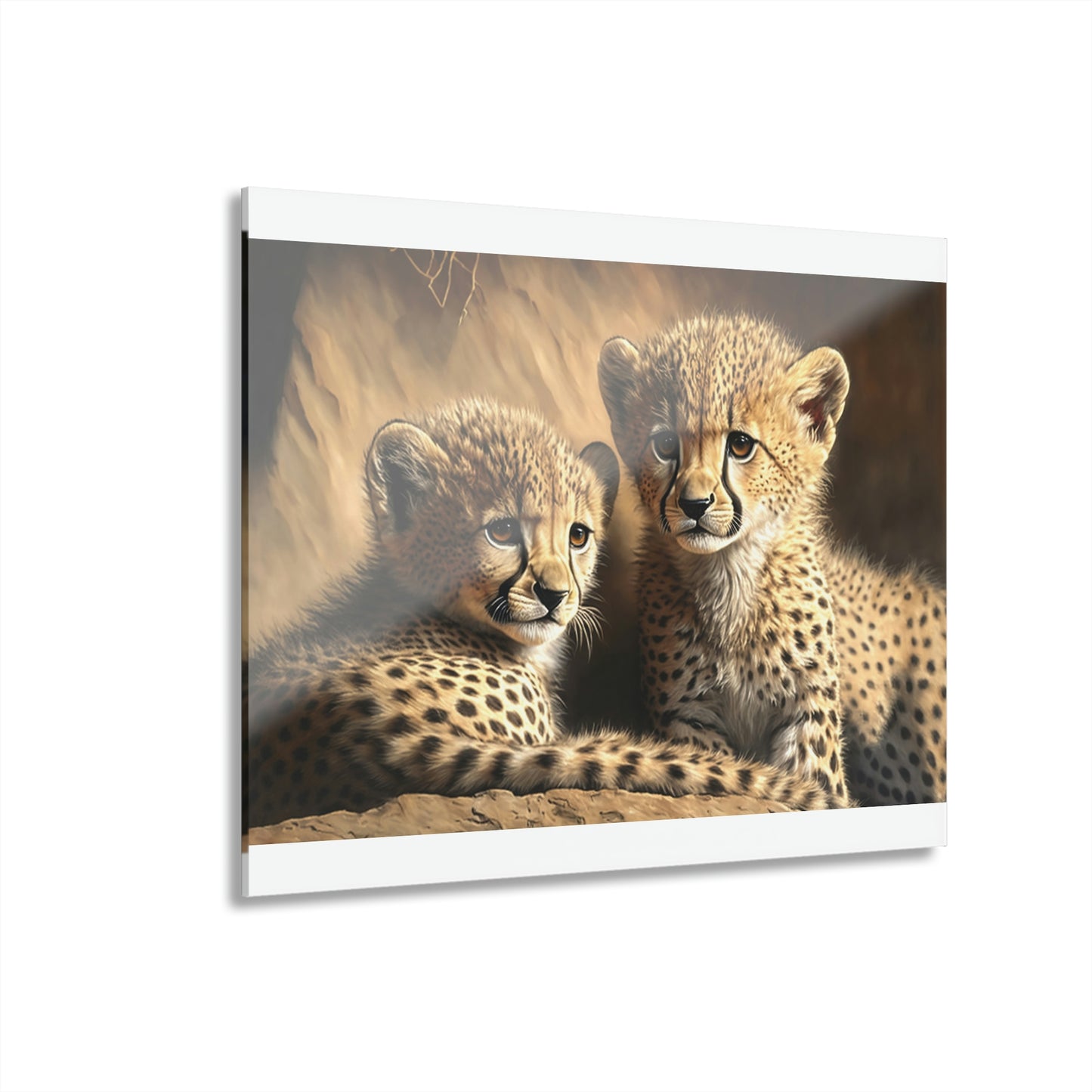 Cheetah Cubs Acrylic Prints (French Cleat Hanging)