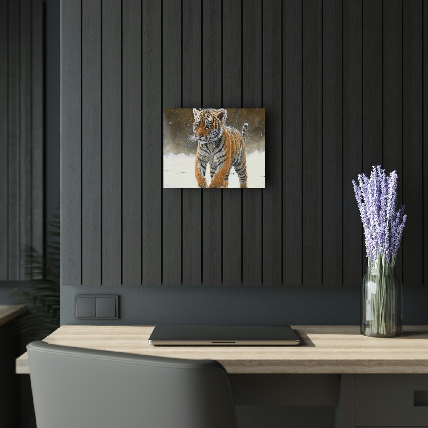 Siberian Tiger Cub Acrylic Prints (French Cleat Hanging)