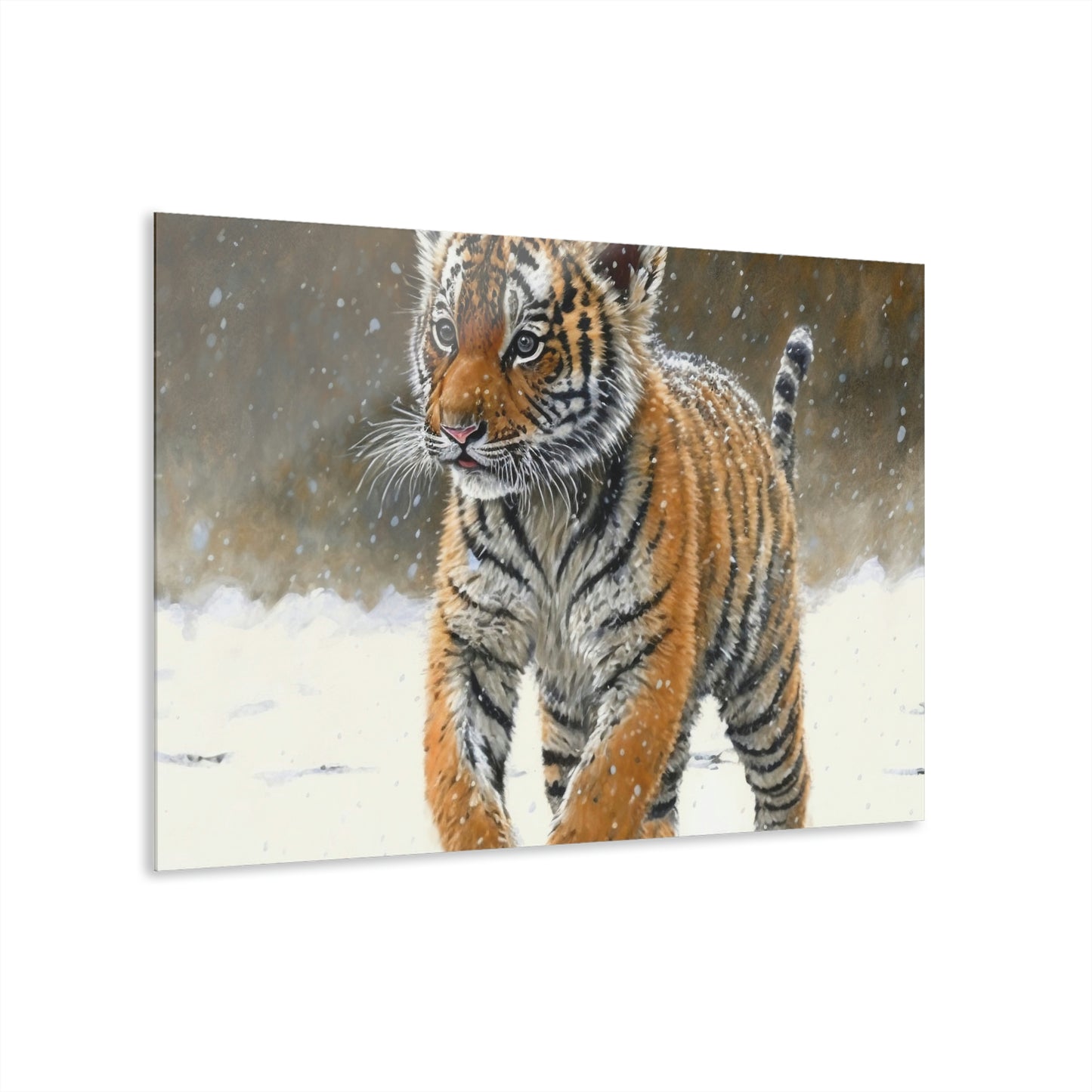 Siberian Tiger Cub Acrylic Prints (French Cleat Hanging)