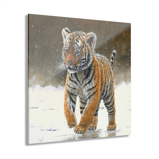 Siberian Tiger Cub Acrylic Prints (French Cleat Hanging)