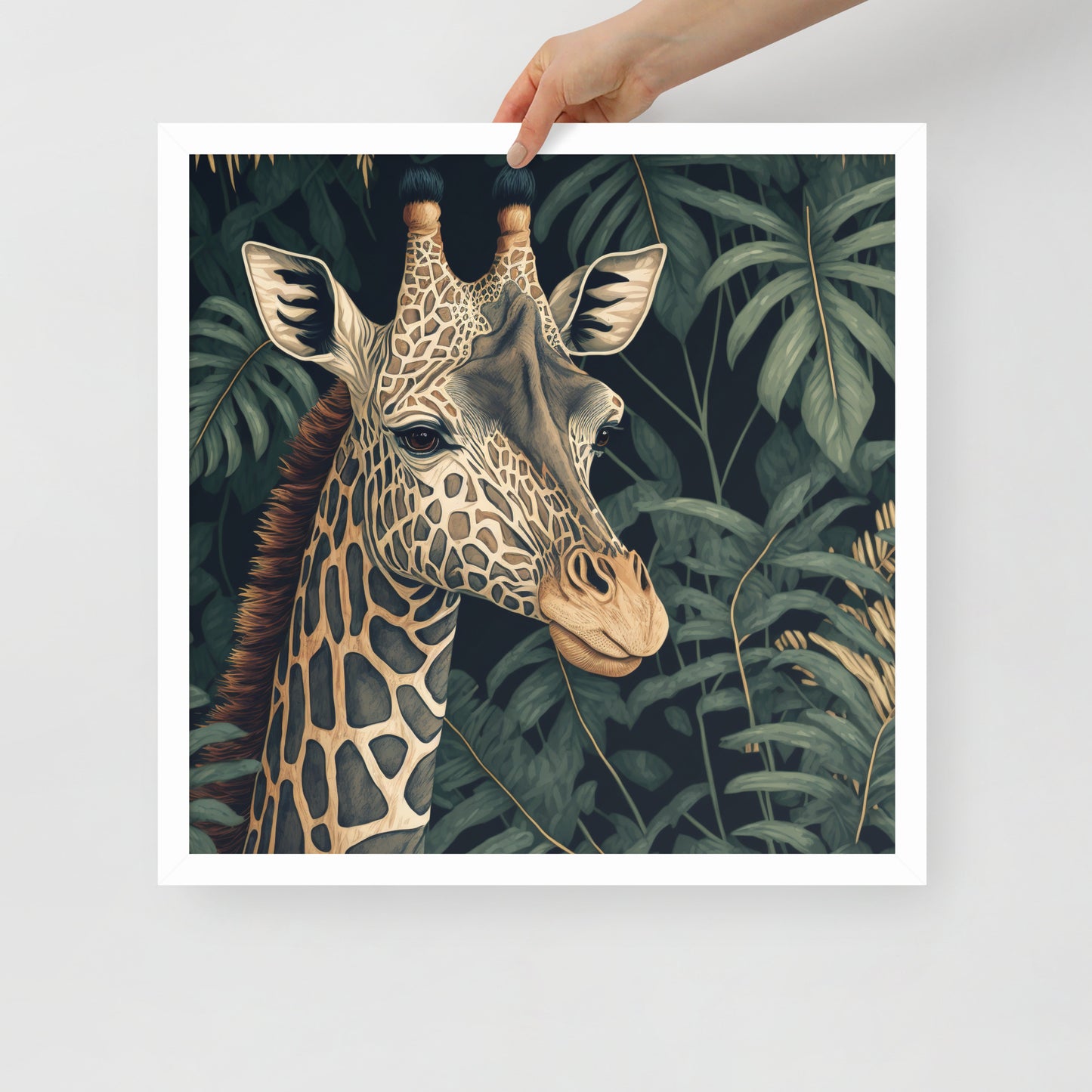 Giraffe Framed poster